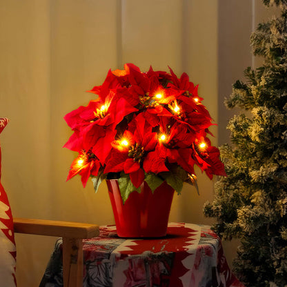 Strahlende Rubin-Weihnachtsstern – Glänzende Festliche Blumendekoration